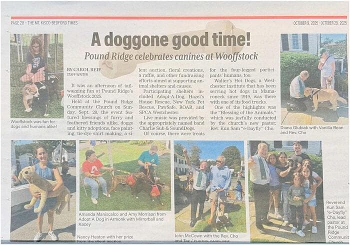 Mt. Kisco-Bedford Times article about Wooffstock 2025